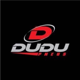 Logo de Dudu Pneus