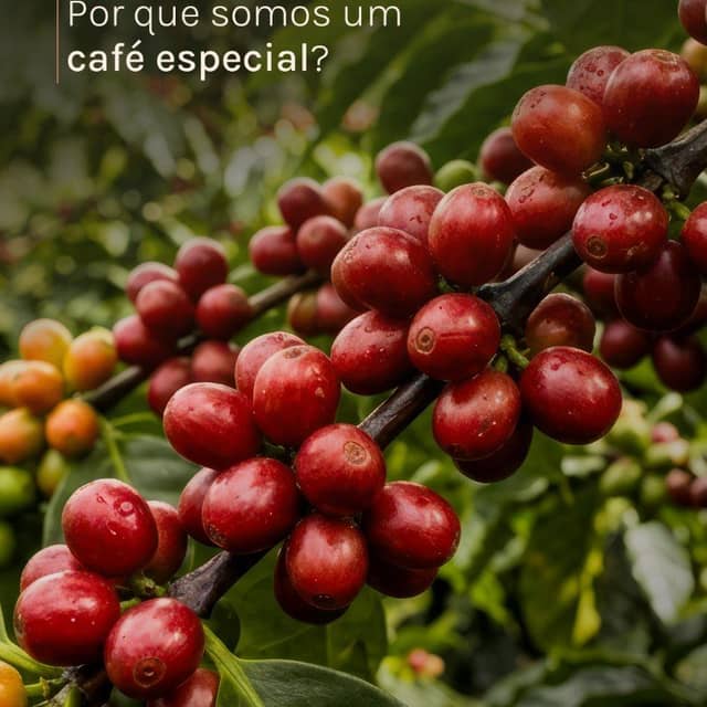 Foto de Café Elizabete
